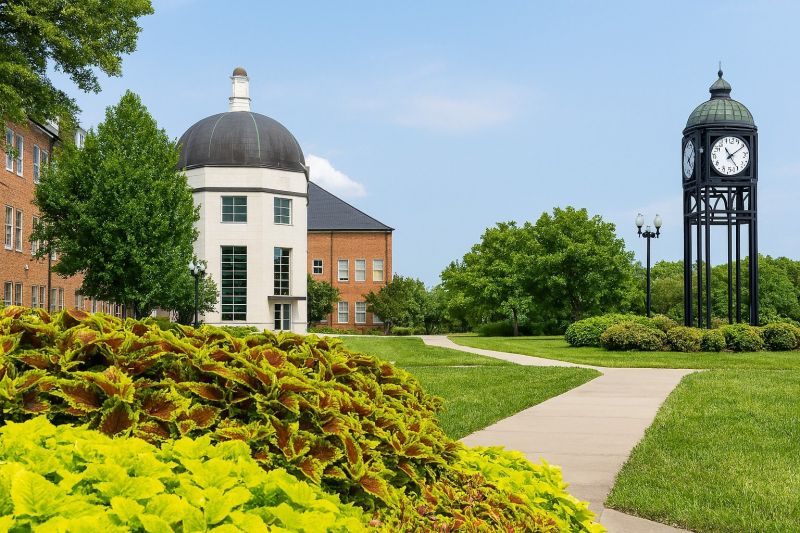 Masonry Service in O Fallon, MO