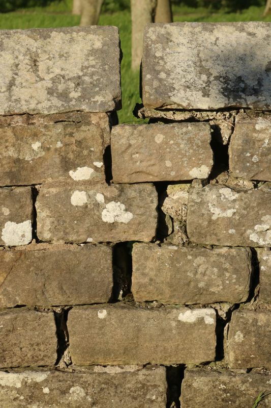 Stone Wall Repair in Florissant, MO